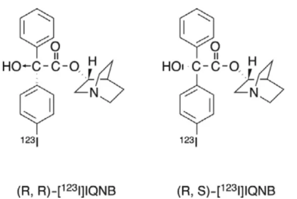 Figure 7.  Four stereochemical structure of [ 123 I]IQNB derivatives.