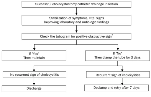 Fig. 2. Flow chart of the post-cho- post-cho-lecystostomy management protocol  devised by Digestive Disease Center  in Cheju Halla General Hospital (Jeju, Korea).