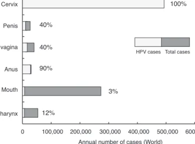 Figure 1. HPV prevalence in HPV-associated cancers. Adapted from (6). 
