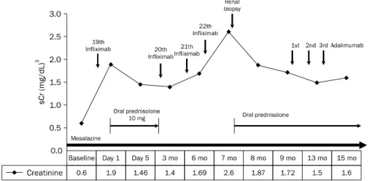 Fig. 1. Changes of serum creatinine  levels. Creatinine level showed a  slight decrease after initial  admini-stration of oral prednisolone