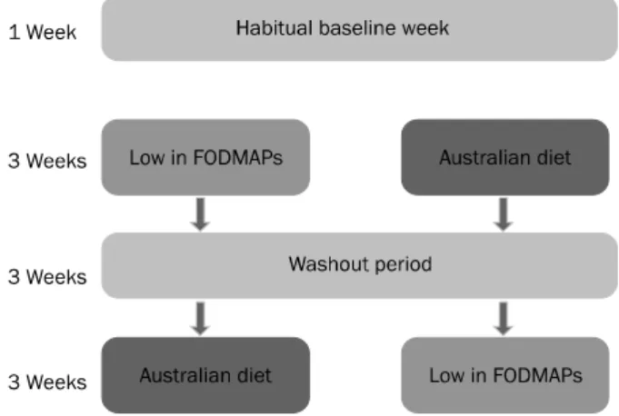 Fig. 1. Study protocol. 