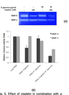 Fig.  4.  Effect  of  cisplatin  in  combination  with  p. 