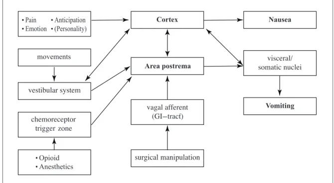 Figure 1. Hypothetical model of the pathophysiology of postoperative nausea and vomiting(5)
