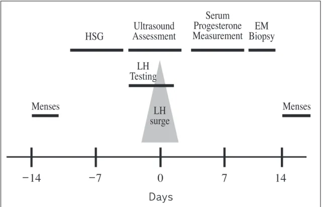 Figure 1.  Schematic diagram of diagnosis for female infertility on menstrual cycle.