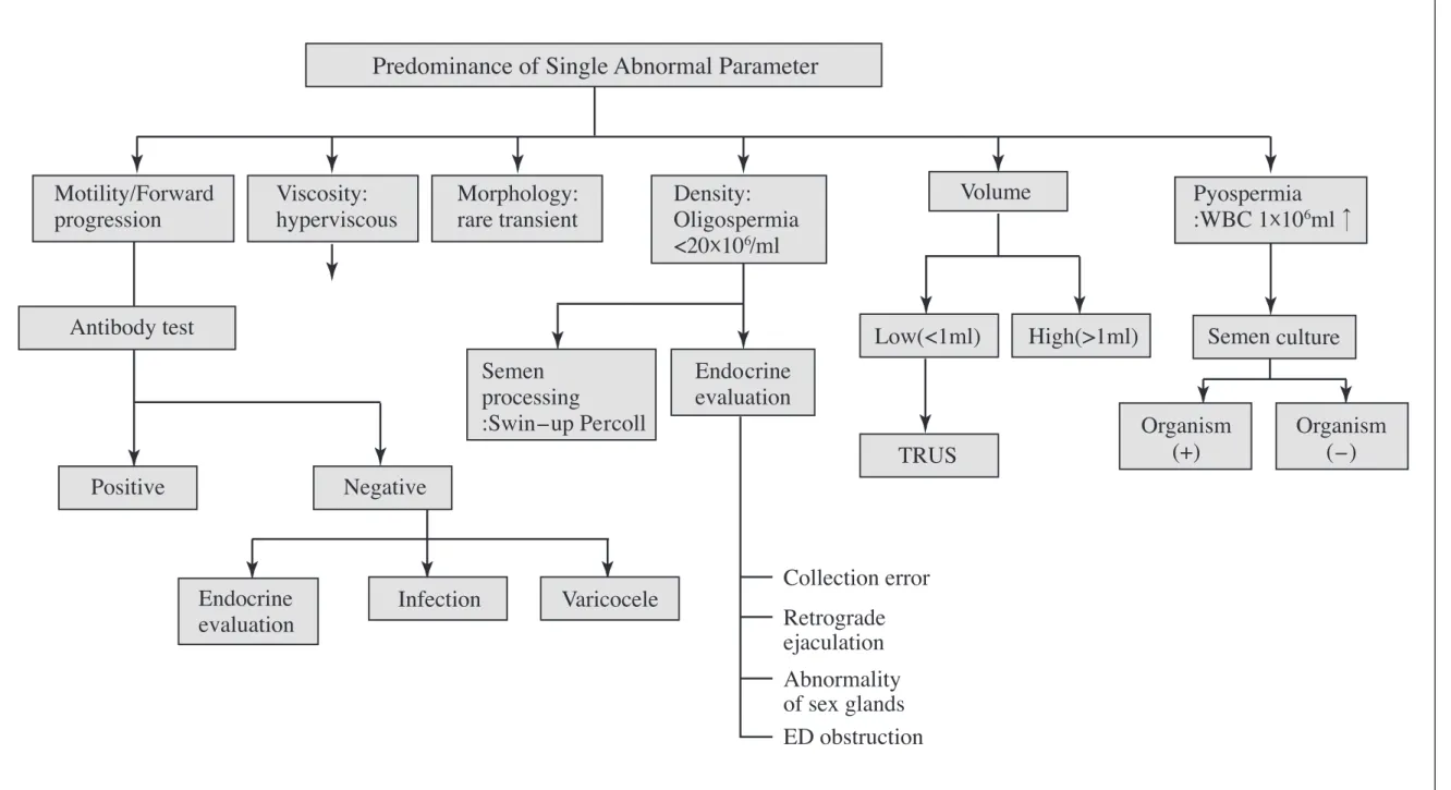 Figure 1.  Algorithm for the workup of isolated abnormal semen parameters.