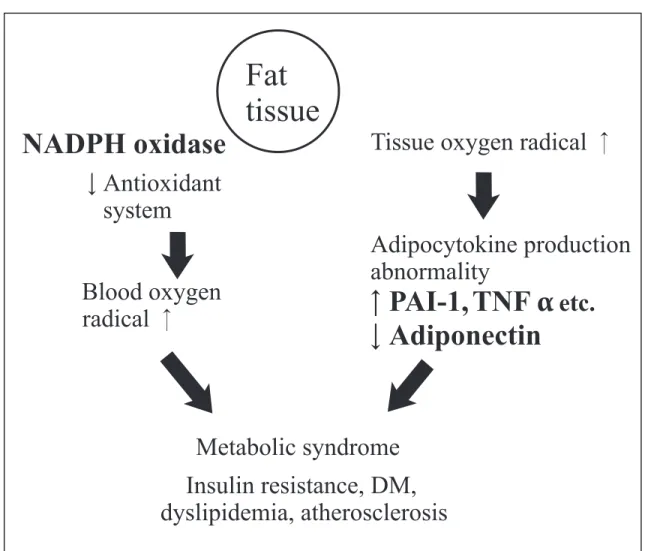 Figure 2.   Oxidative stress of fat tissues and metabolic syndrome. 