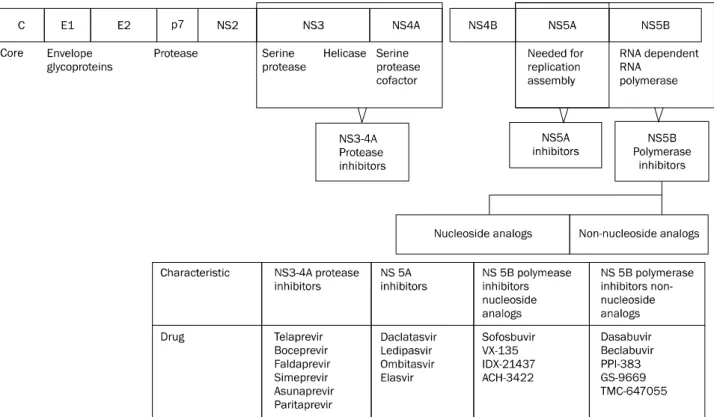 Fig. 1. Direct acting agents and corresponding sites of HCV gene. Modified from the article of Chae et al