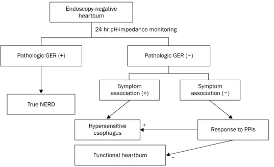 Fig. 2. The classification of subgroups causing heartburn according to the  Rome III criteria