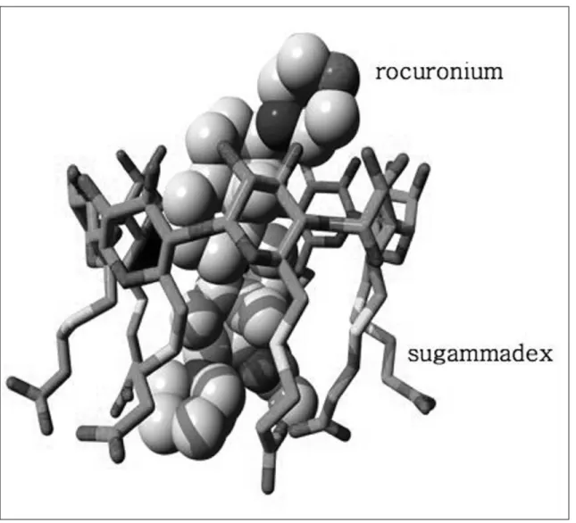 Figure 1. Structure of sugammadex, a synthetic  Υ-cyclodextrin. Figure 2. Complex formation of sugammadex and rocuronium as obtained by X -ray diffraction