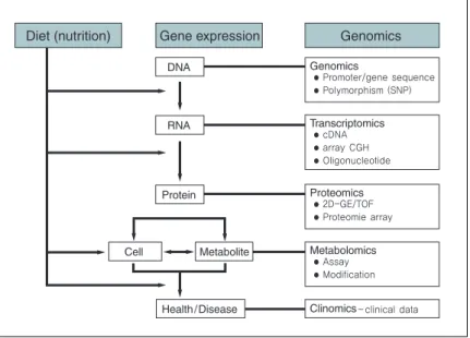 그림 4. Kind and application of high throughput analysis for nutrigenomics