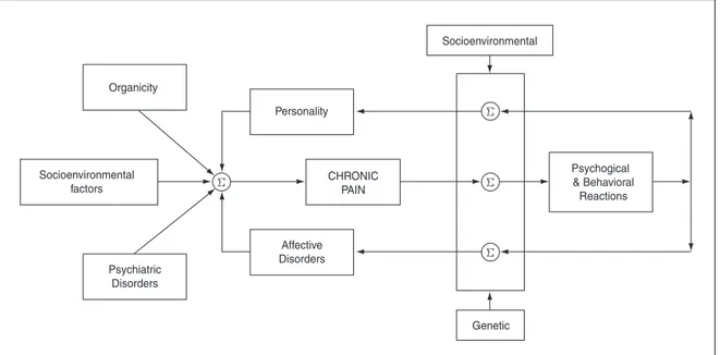 Figure 3. Systems model for chronic pain 