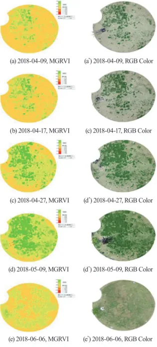 Fig. 2는 2018년 4월~6월 기간 중, 원형잔디장의 RGB 영상 기반 MGRVI 지수의 등분할분포도(equal spacing, 최소~최 대범위 : -0.7~0.5, 분류단계 : 5, 급간대(dr, distribution range)  : 0.24, 이하 ‘MGRVI 분포도’) 및 컬러 영상으로 나타낸 것이 다