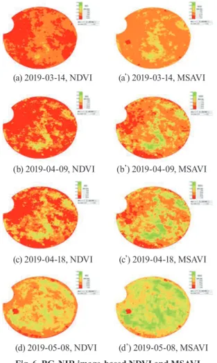 Fig. 6. BG-NIR image-based NDVI and MSAVI  (distribution range = 0.0∼0.8, class=5, dr=0.16) of  'round lawn' test ﬁeld between March 14, 2019 and May 