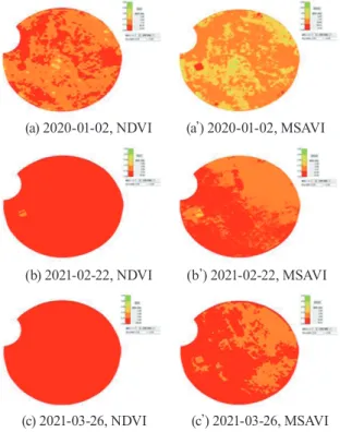 Fig. 8. BG-NIR image-based NDVI and MSAVI  (distribution range = 0.0∼0.8, class=5, dr=0.16) of 'round 
