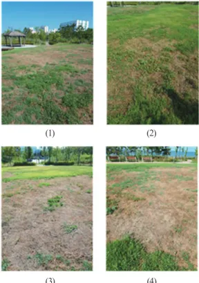 Fig. 11. (a) BG-NIR image-based NDVI, (b) MSAVI,  (c) RGB image-based MGRVI(class=5), and  (d) RGB image of 'round lawn' test ﬁeld on August 14, 