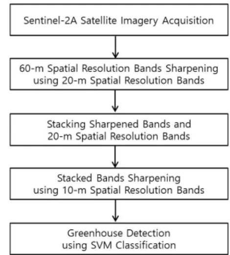Fig. 1. Flowchart of the study