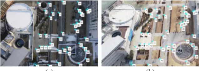 Fig. 3. The location of the true value feature points  acquired by manually picking