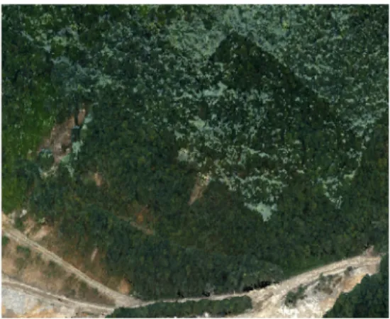 Fig. 11. DEM generation using 3D laser scanning data