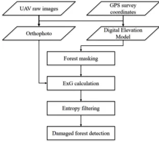 Fig. 1. Flowchart of the study