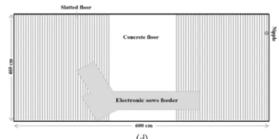 Fig.  1.  Types  of  gestation  housing  systems  of  sows. 