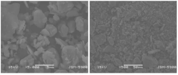 Fig. 8. SEM analysis of the Ground (a) ×100 (b) ×5,000