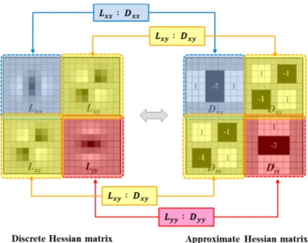 Table 2. Ratios between elements of Hessian matrices and weight factor (σ = 1.2 and  N  = 9) (a) Standard deviation and Forbenius norm of Hessian sub-matrices