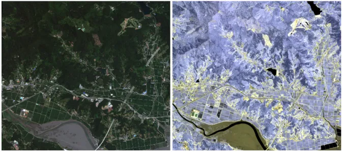 Fig. 1. Study Site displayed with (a) RGB = MS 5, MS 3, MS 2 (true-color composition)   (b) RGB = SWIR 4, SWIR 2, SWIR 1 (false-color composition)