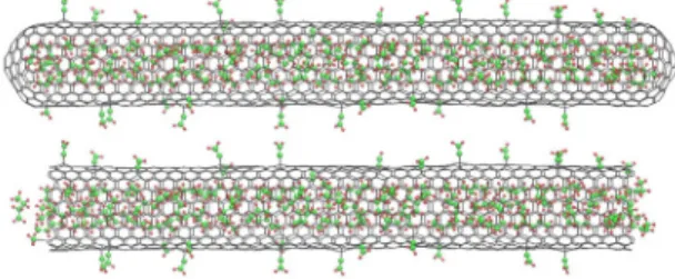 Fig. 1. Capped and uncapped hybrid (10,10) SWCNTs  considered  for  classical  MD  simulations