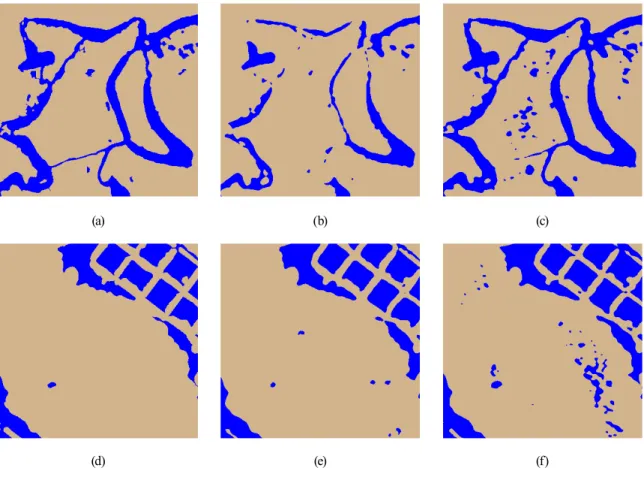 Fig. 5. The enlarged images of the classification results of site 1: 