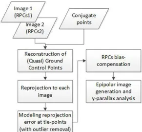 Fig. 1. Flowchart of the study
