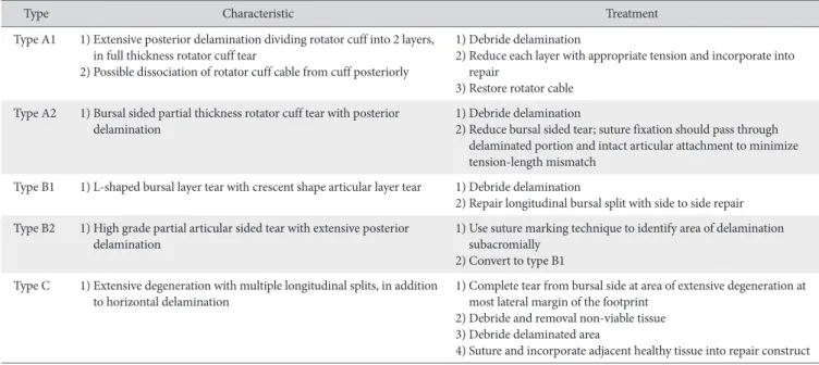 Table 1. Treatment-based Classification System for Posterior Delamination in Rotator Cuff Repair 6)