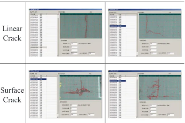 Fig. 8. Types of pavement crack(linear, surface)