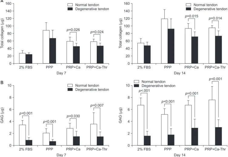 Fig. 6. Relationship between normal group and degenerative group in matrix synthesis. (A) Total collagen synthesis