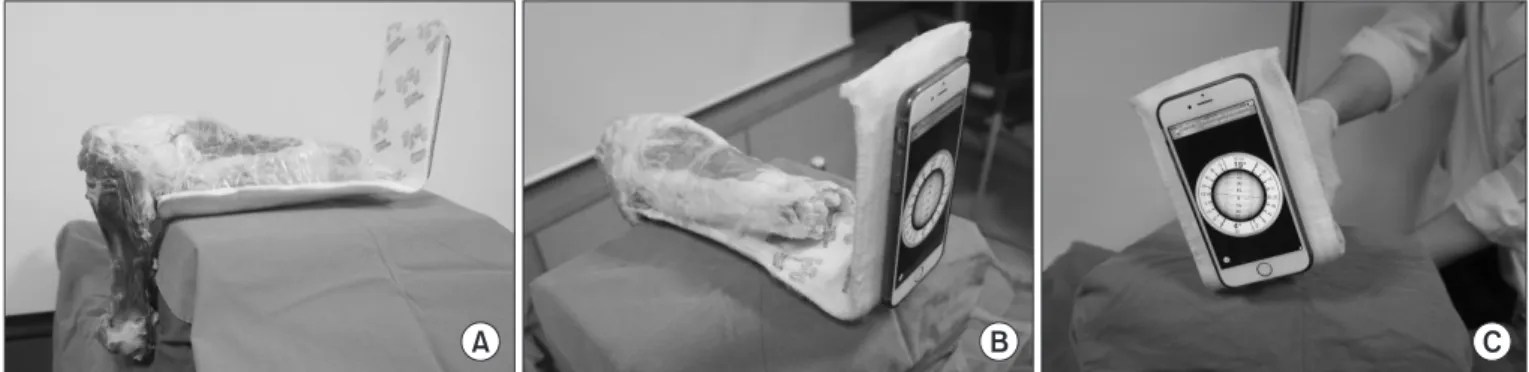Fig. 2. Measurement of the rotation angle using a smartphone application. (A) A short leg splint is placed under the porcine knee
