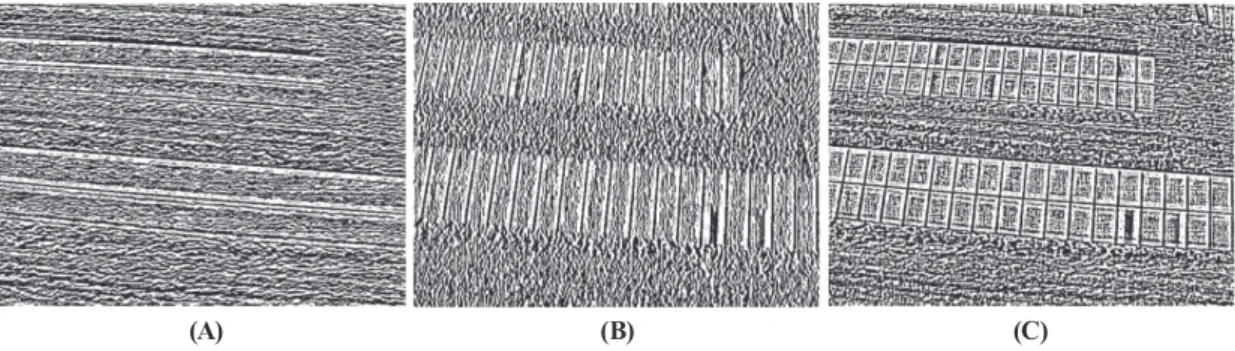 Fig. 3. Results of applying horizontal and vertical ﬁltering on a sample image. (A) Horizontal ﬁltering result,  (B) Vertical ﬁltering result, and (C) Result of combining horizontal and vertical ﬁltering