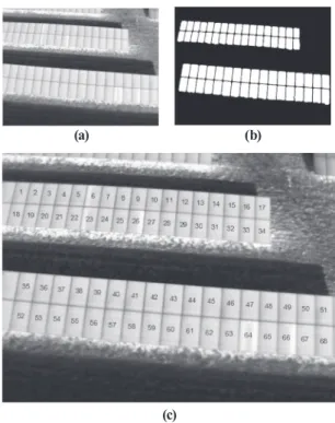 Fig. 2 displays a three-dimensional (row, column, intensity)  representation of the thermal intensity characteristics of the  extracted  panel  area