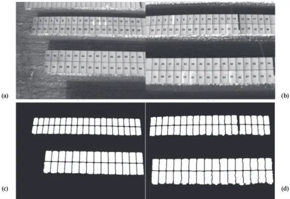 Fig. 7. (a) and (b) Additional test images for evaluation of the fault diagnosis algorithm (www.kitawa.de), (c) and (d) Results  of the panel area extraction