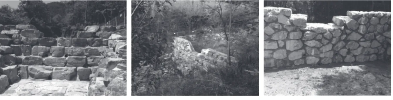 Fig. 2. Pictures of check dam at study area