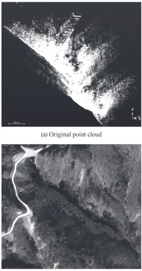Fig. 9. Control points and LiDAR surveying stations(a) Control points in test area