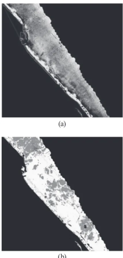Table 2. Accuracy of seabed rock detection result using  hyperspectral image