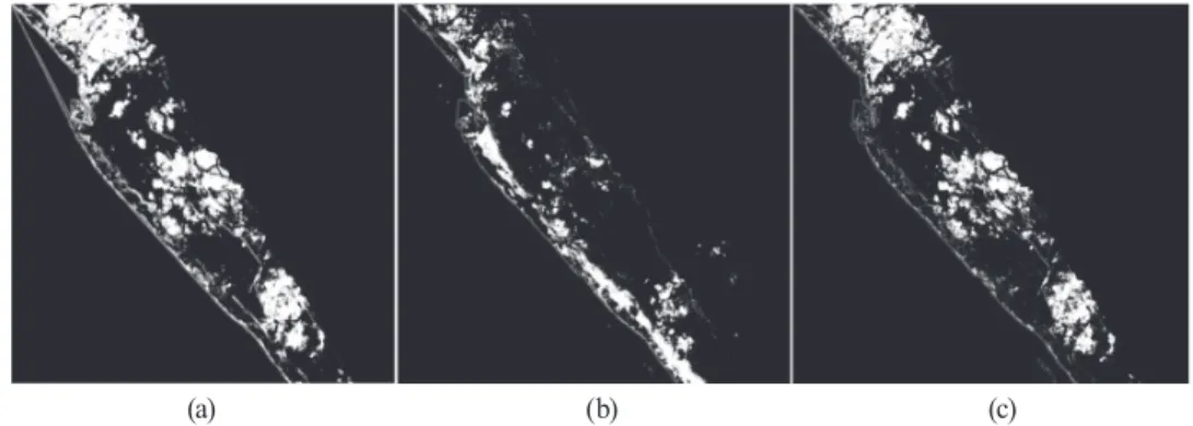 Fig. 8 comparing the detection results for seabed rock  shows that the detection result using fused data gives a  clearer boundary and fewer errors than detection results  using texture data or the hyperspectral image separately
