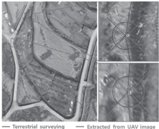 Fig. 10. Detection and extraction of boundary points (parcel 60) from UAV image