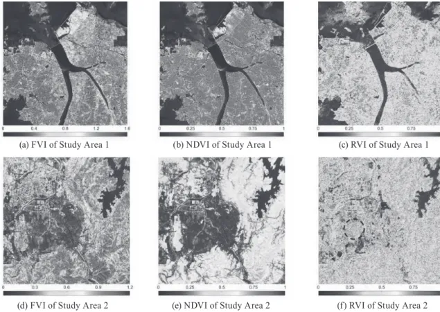 Fig. 5. Subset imagery of study area 1. (a) FVI, (b) NDVI, (c) RVI, and (d) density plot of the FVI and the NDVI