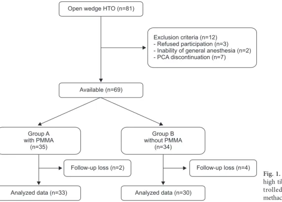 Fig. 1. Flow diagram of the study. HTO: 