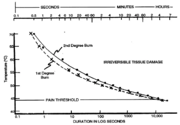 Fig.  1.  Burn  Criteria  for  Human  Skin