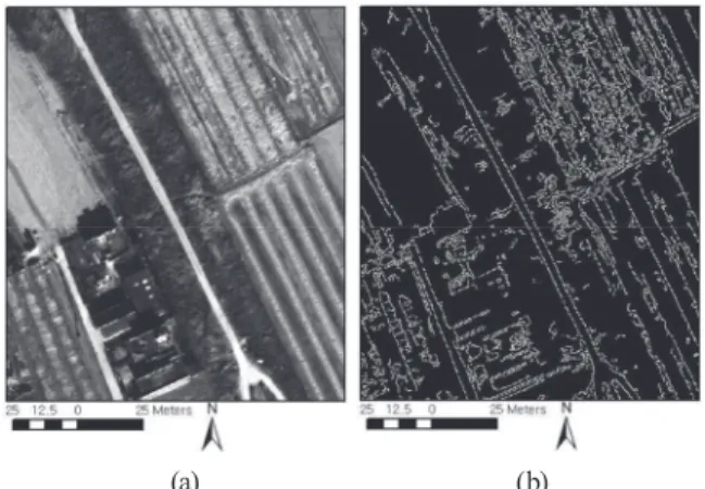 Fig. 6. Examples of the edges detected from the red  band image by the Canny operator  