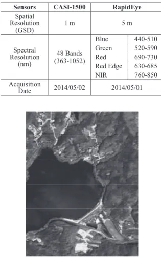 Table 1. Speciﬁ cations of CASI and RapidEye images