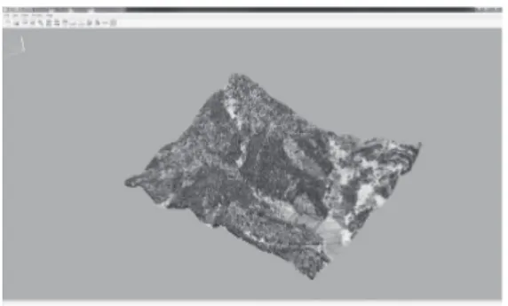 Fig. 3. LiDAR data of study area