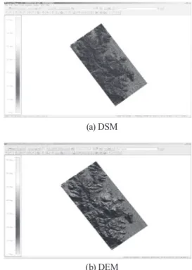 Fig. 7. Parameters setting for tree extraction