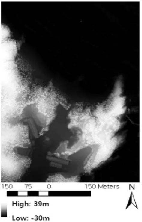 Fig. 5. One section of DSM generated using LiDAR point cloud